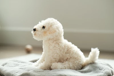 Bearington Bisquit Plush Labradoodle Stuffed Animal Puppy Dog, 13 Inch - Image 3