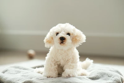 Bearington Bisquit Plush Labradoodle Stuffed Animal Puppy Dog, 13 Inch - Image 2