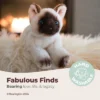 Bearington Lil Cleo Siamese Cat: Hand-Sewn 8 Long Stuffed Plush Cat With Ultra-Soft Faux-Fur, Fuzzy Paws, For Ages 3-14