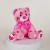 Bearington Pink Plush Stuffed Animal Teddy Bear With Hearts, 8.5 Inches, For Ages 3-14
